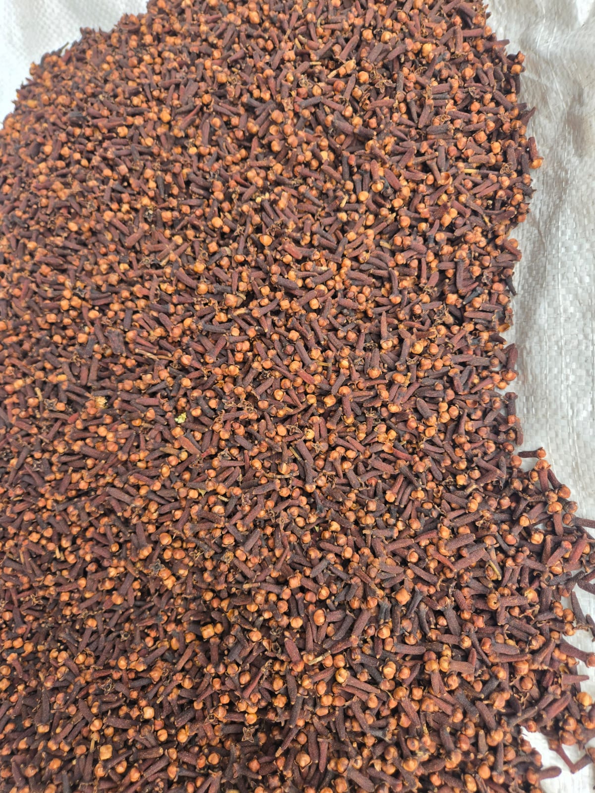 Whole Cloves (Syzygium aromaticum) - Crezantium