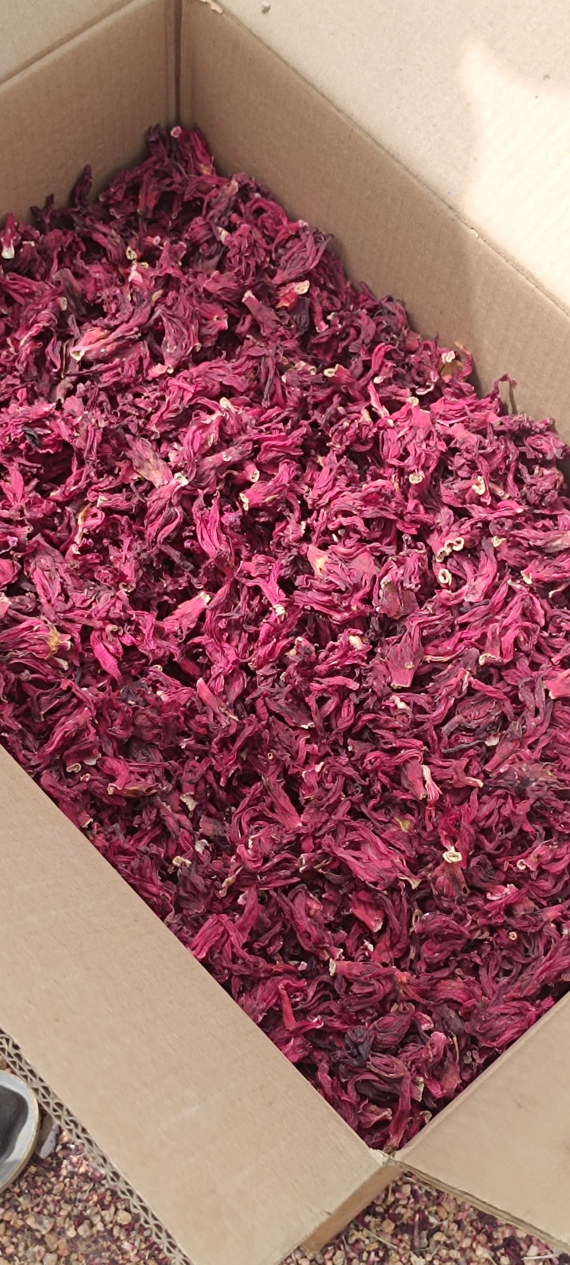 Dried hibiscus calyces - Crezantium