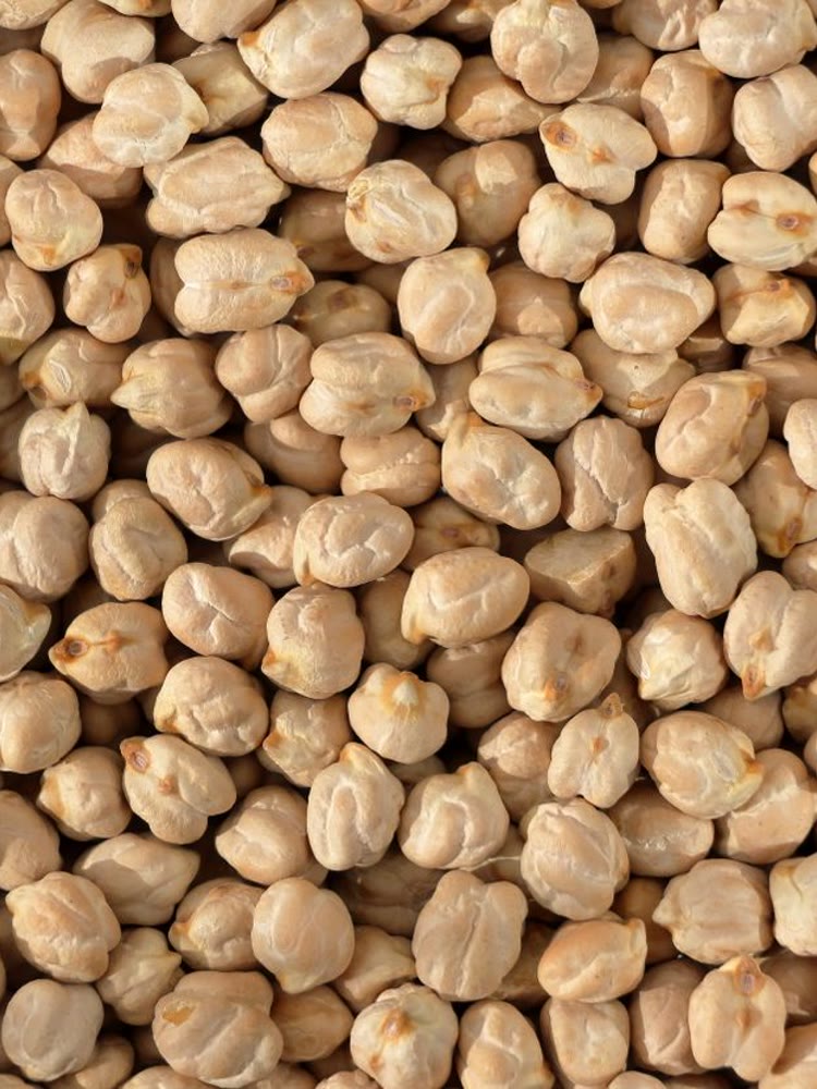 Chickpeas Kabuli and Desi - Crezantium