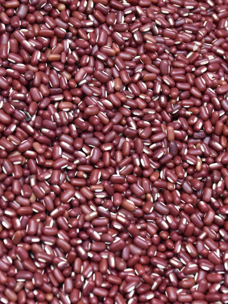 Dry Beans White Kidney Navy - Crezantium