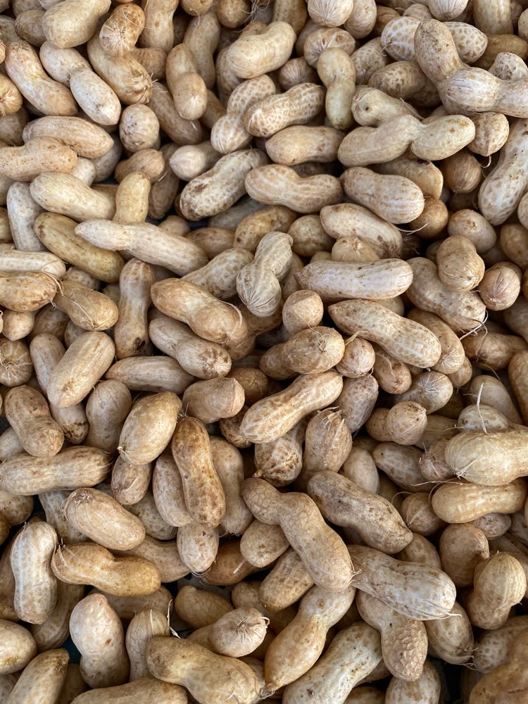 Groundnuts Peanuts - Crezantium