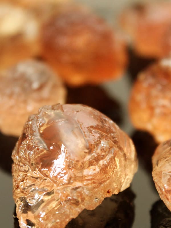Gum Arabic (Acacia senegal) - Crezantium
