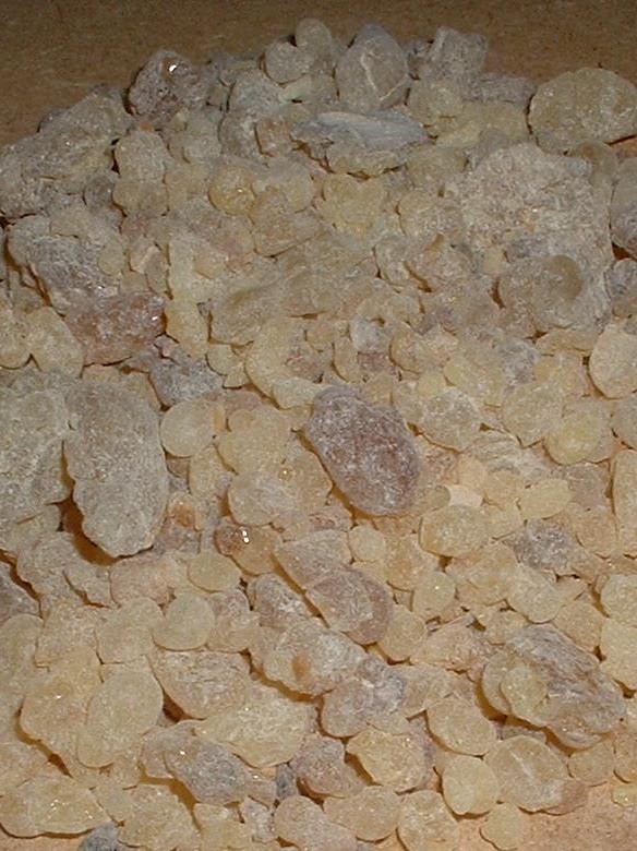 Gum Olibanum (Frankincense, Boswellia) - Crezantium