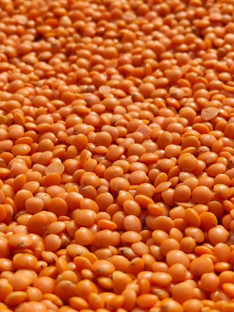 Lentils Red Split Green Brown - Crezantium